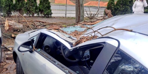 wiatr w Toruniu zniszczone samochody