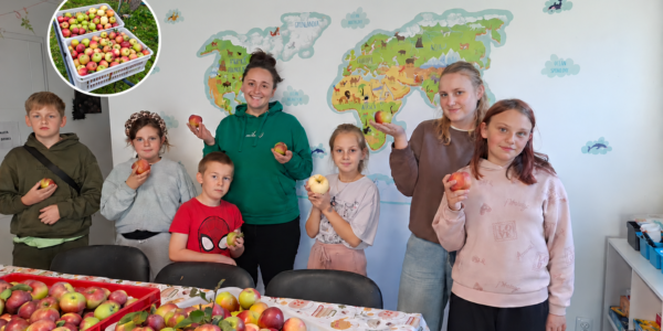jabłka dla młodzieży 2026