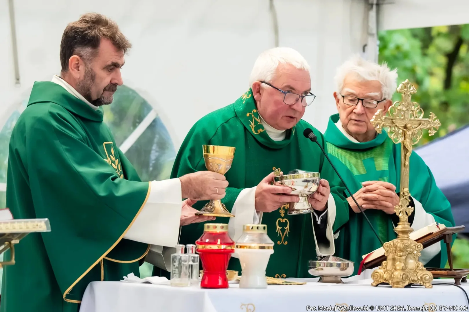 stracenia na Barbarce